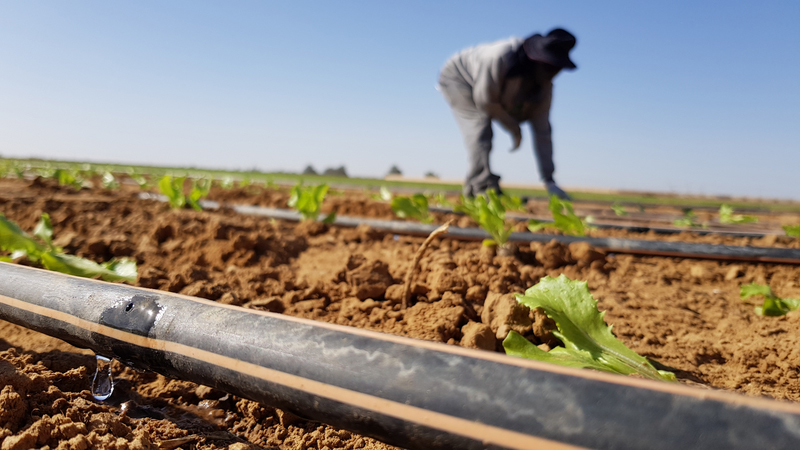 Plastic Extruder Machines of Irrigation Systems